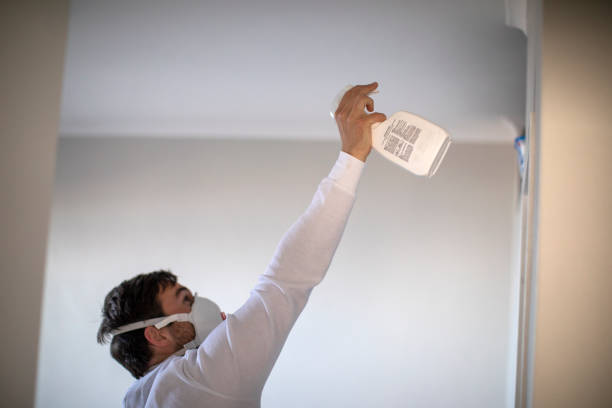 Best Emergency Mold Removal  in Auburn, IL
