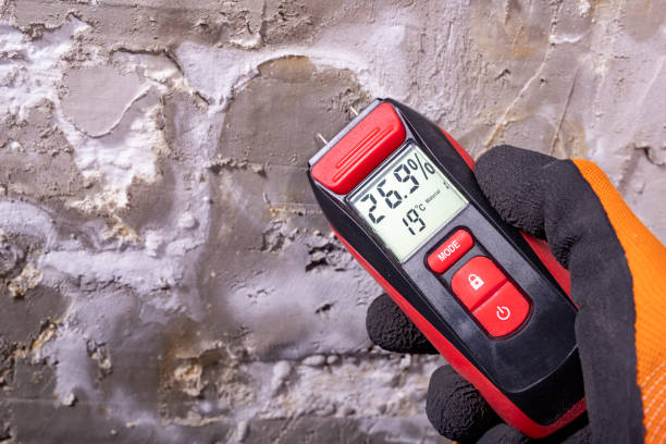 Best Crawl Space Mold Removal  in Auburn, IL